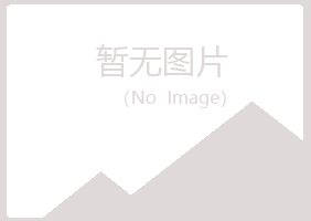 乐山夏青化学有限公司